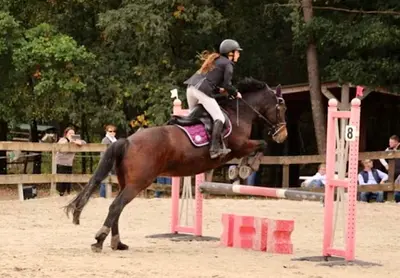 Centre Equestre l'Escapade - Ecurie Charlotte Rostin