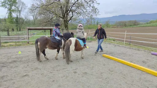 École des Poneys