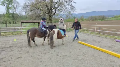 École des Poneys