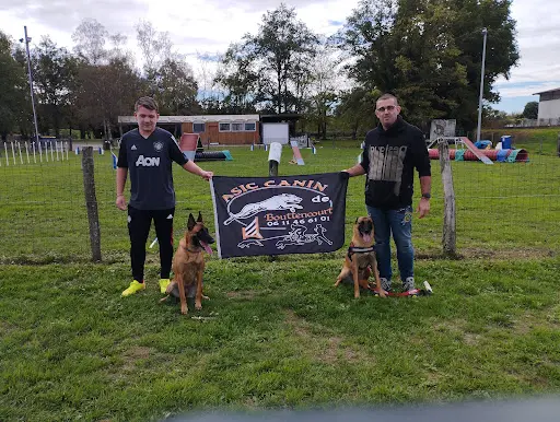 Asic Canin de Bouttencourt