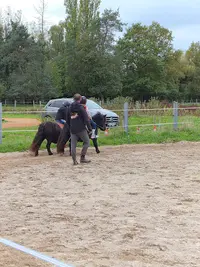 Ferme Equestre de la Boue
