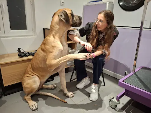 Cani S Love