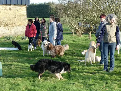Educagil, Éducateur Canin, Comportementaliste Canin, Agility Dog, Èlevage Canin