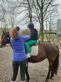 Aurore Meriot Equitation