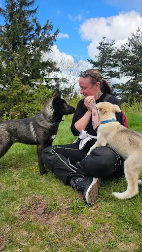 Les Pattes Sages Éducateur Canin et Garde d'Animaux Haute-loire (43) et Puy-de-dôme (63)