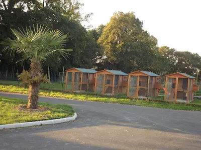 Pension Canine et Féline et Éducation du Haras du Breil