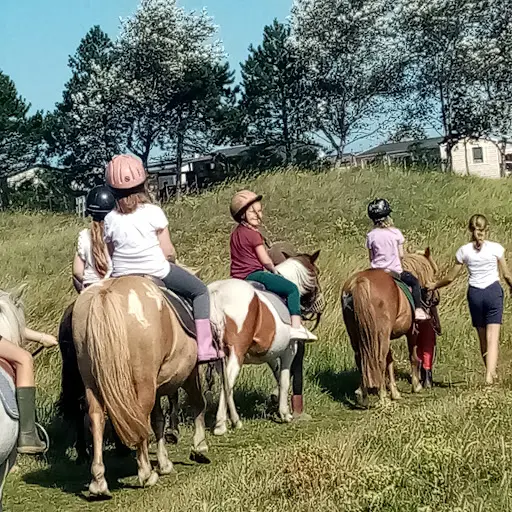 Le Poney Marin - Poney-club de Saint-martin de Bréhal