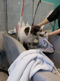 l'Eden Canin