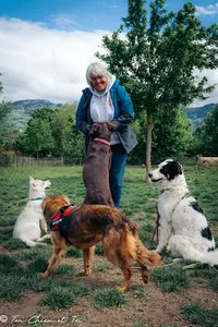 Ton Chien et Toi