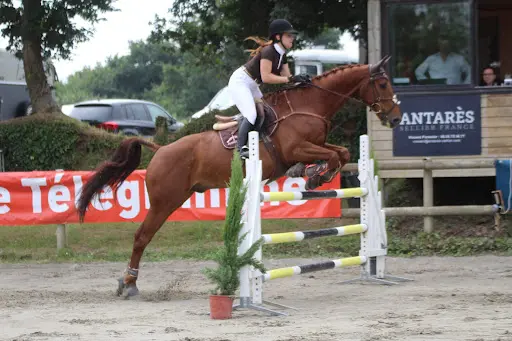 Brest Equitation