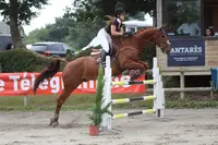 Brest Equitation