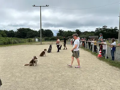 Centre d'Education Canine d'Agility Brest