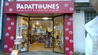 Papattounes