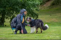 Educateur Canin Cosy Dog, Comportementaliste, Mantrailing