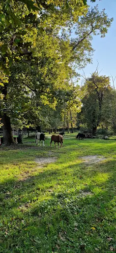 Poun S, Nature et Compagnie