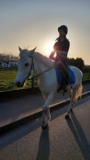 Centre Équestre de Brétigny-sur-orge Ame Horse
