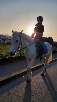 Centre Équestre de Brétigny-sur-orge Ame Horse