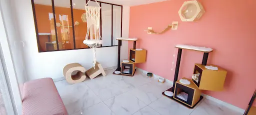 Pension du Château Vieux - Hôtel Haut de Gamme Pour Chats -pension Pour Chats