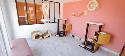 Pension du Château Vieux - Hôtel Haut de Gamme Pour Chats -pension Pour Chats