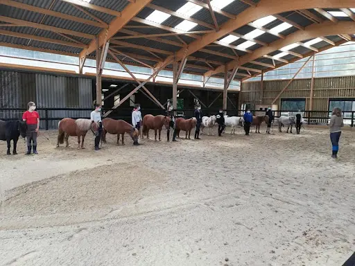 Centre Equestre de Bretteville-sur-odon