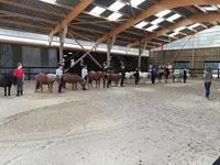 Centre Equestre de Bretteville-sur-odon
