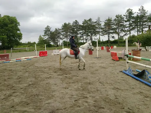 Le Haras de Fleyres
