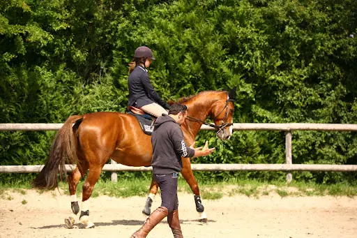 Ecurie Equi Libre