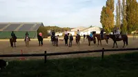 Centre Équestre des Mulottes
