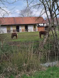 Les Attelages du Val d'Amour