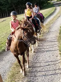 l'Instant Animal