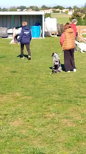 Club Canin Agility 16