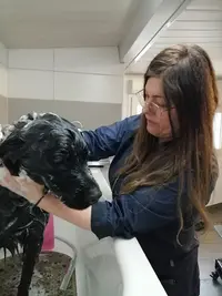 Aux P Tits Soins