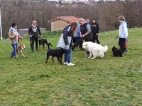 Centre d'Éducation Canine Brindas