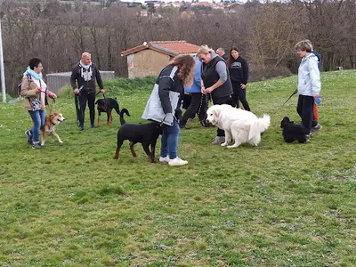 Centre d'Éducation Canine Brindas