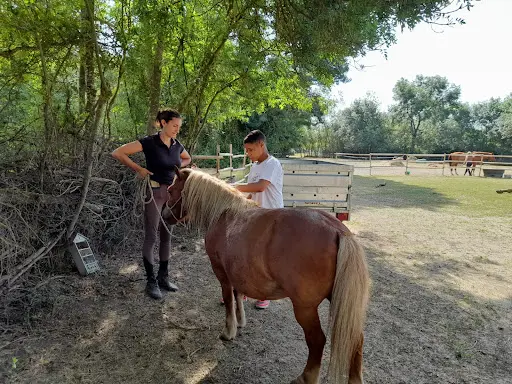 Dakota Horse Center : Mountain Trail & Médiation Equine - Centre Equi-emotions