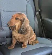 Ô Truffes Zen