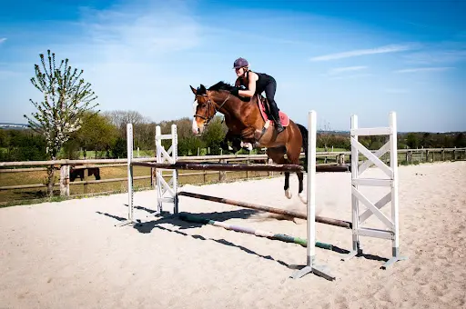 Lucile Motton Monitrice d'Équitation et Cavalière Indépendante