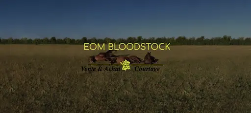 Eom Bloodstock
