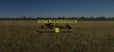 Eom Bloodstock