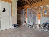 Pension Canine la Houssinière