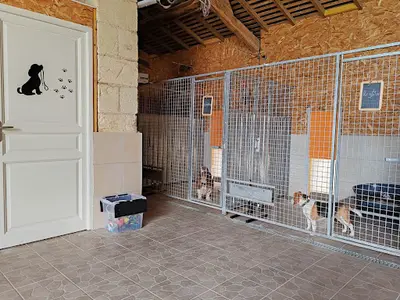 Pension Canine la Houssinière