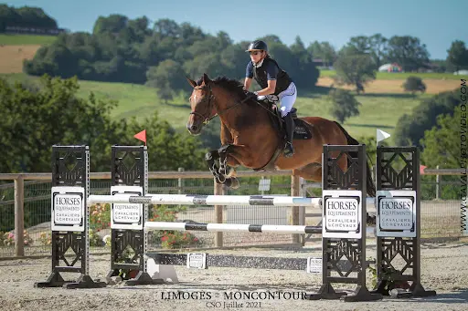 Horses Equipements Equitation Brive