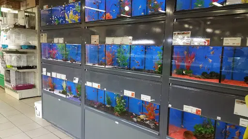 Jardiland