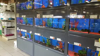 Jardiland