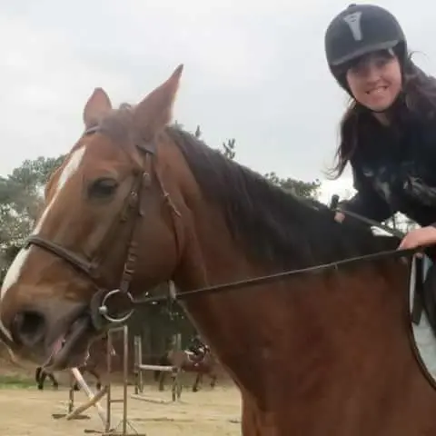 Village Equestre de Brix