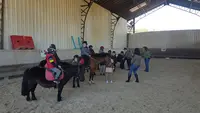 Ecuries du Poney d'Or