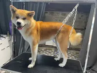 Domaine de Terrut/ Cassandra Lagorsse