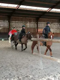 Poney Club du Bois des Dames
