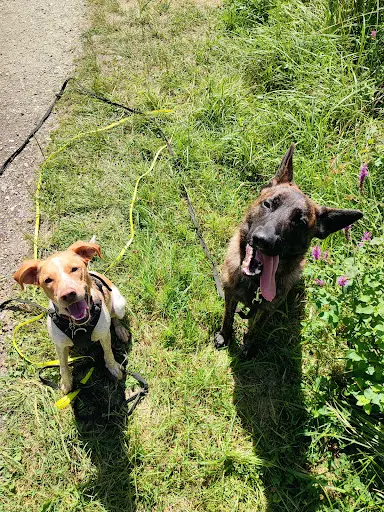 Happy Canin