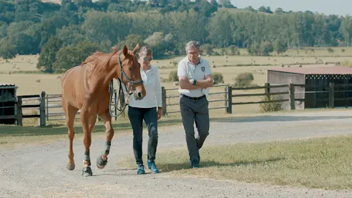 Haras des Ecus